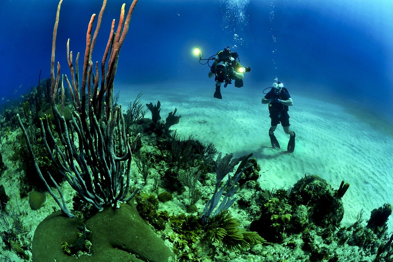 divers, scuba, reef